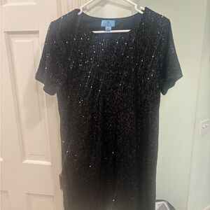 NWOT Black Sequin Short Sleeve Dress